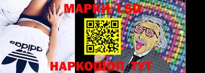 Альфа ПВП Краснознаменск