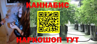 Альфа ПВП Краснознаменск