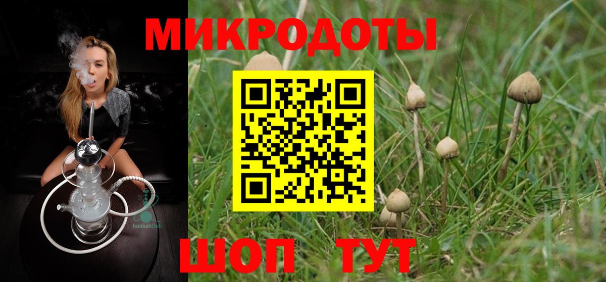 Псилоцибиновые грибы Cubensis Тайшет